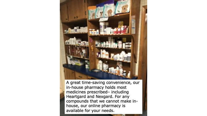 Pharmacy 